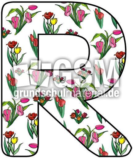 Tulpen-Buchstabe-R.jpg